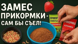 Замешал прикормку — Сам бы съел!