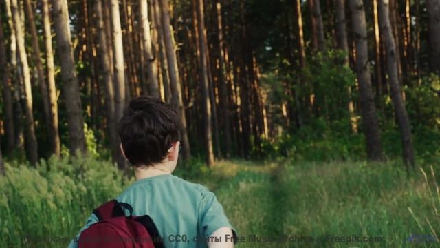 Закат, который звучит так же прекрасно, как выглядит! - Song 2 -- G. H. Everetts -- looks at mountai