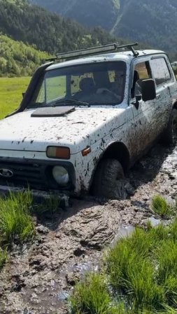 Попал в заподню