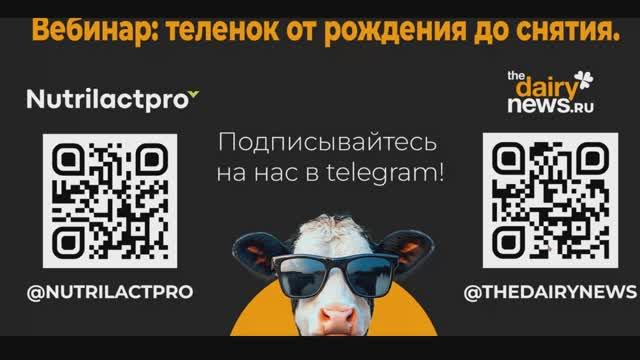 Вебинар «Теленок от рождения до снятия»