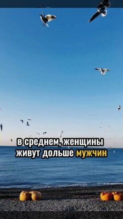 Психологические женские факты
