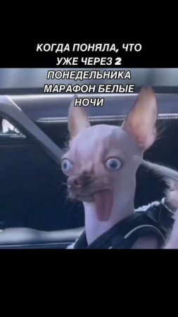 -6191984950014195532