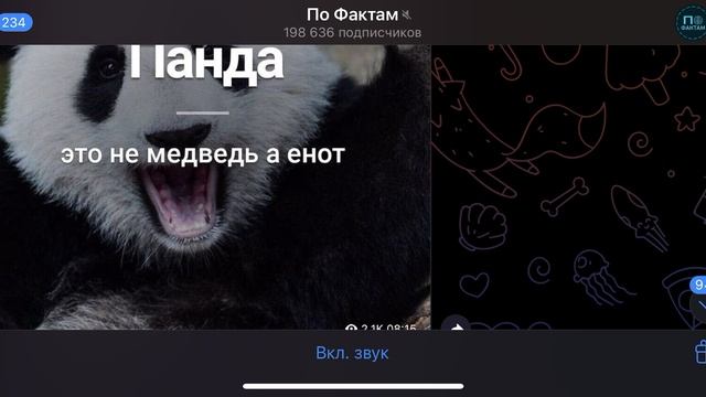 Невероятные факты которые взорвут твой_мозг 1!