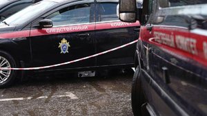 Изнасиловал и задушил: новые детали убийства девочки под Ростовом эвакуаторщиком