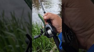Тестовая рыбалка с новой мультипликаторной катушкой Shimano 24 Metanium DC . Поймал окуня и судака