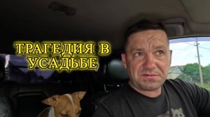 НАПАДЕНИЯ ПЧЁЛ . ЗАКУСАЛИ ДО СМЕРТИ " ЛЁША УШАКОВ "