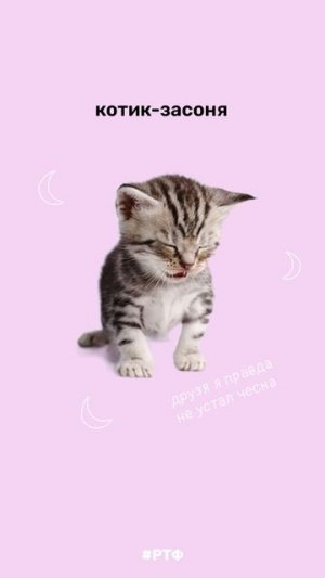 А какой ты котик?