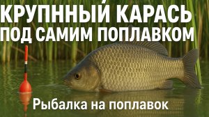 КРУПНЫЙ КАРАСЬ ПОД САМИМ ПОПЛАВКОМ У КАМЫША Рыбалка на поплавок