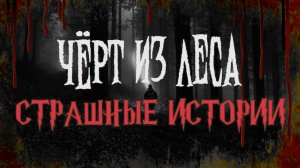 СТРАШНЫЕ ИСТОРИИ НА НОЧЬ | Чёрт из леса | СТРАШИЛКИ НА НОЧЬ