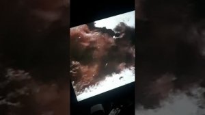 ВЫ ЯСНО ЭТО ВИДИТЕ ЭТО И ЕСТЬ ЯСНОВИДЕНЬЕ.mp4