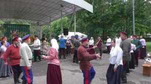 Трава моя, травушка