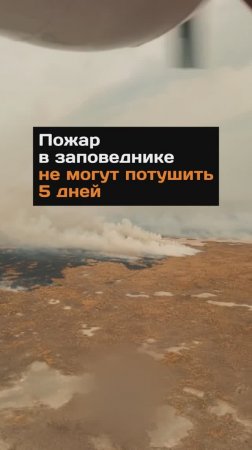 Пожар в заповеднике не могут потушить 5 дней