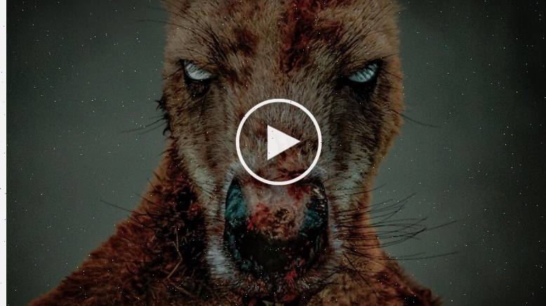 Хищник. Дожить до рассвета (2024) / сериал 2025 (19 июня 2025)