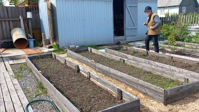 14/6 25 УКОРЕНИЛА ПОМИДОР. КУКАРЕКНУСЬ С ВЫСОТЫ. НАМЕШАЛА ПОДКОРМКУ. ПОГОДА НЕ ДЛЯ РЫБАЛКИ.