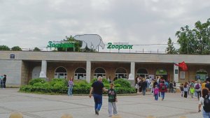 ,,Ленинградский зоопарк" Санкт- Петербург июнь 2025