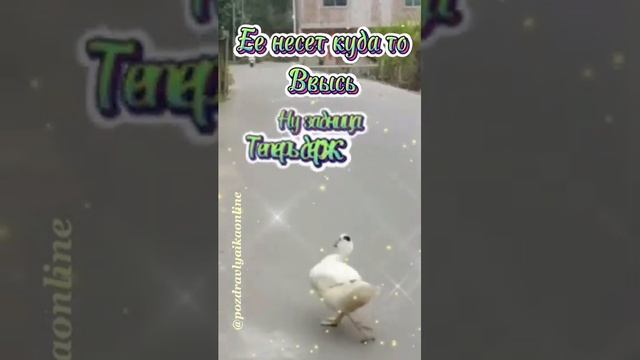 Пришла весна