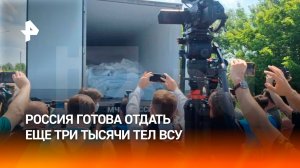 РФ готова отдать Киеву еще три тысячи тел украинских военных — Путин