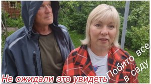 Бросили дачу надолго.Слезы от увиденного.Град побил все ( Зато ТОМАТЫ УЖЕ СПЕЮТ и ПЕРЕЦ УДИВИЛ