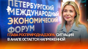 Глава Росприроднадзора рассказала о ситуации на пляжах Анапы