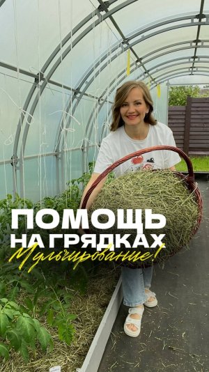🌿  Мульчирование грядок скошенной травой — простой способ улучшить почву и увеличить урожай!