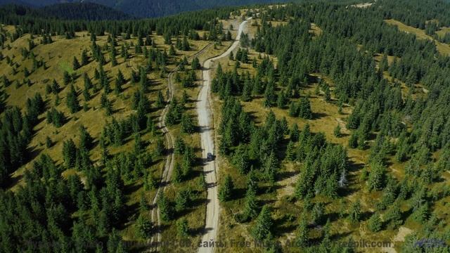 Музыка для поцелуев на крыше машины где-то посреди бескрайних полей - 11 LB -- Shaolin Dub -- Preser