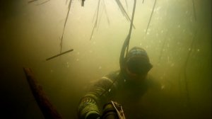 Сомовьи Шапки.Подводная Охота в Татарстане