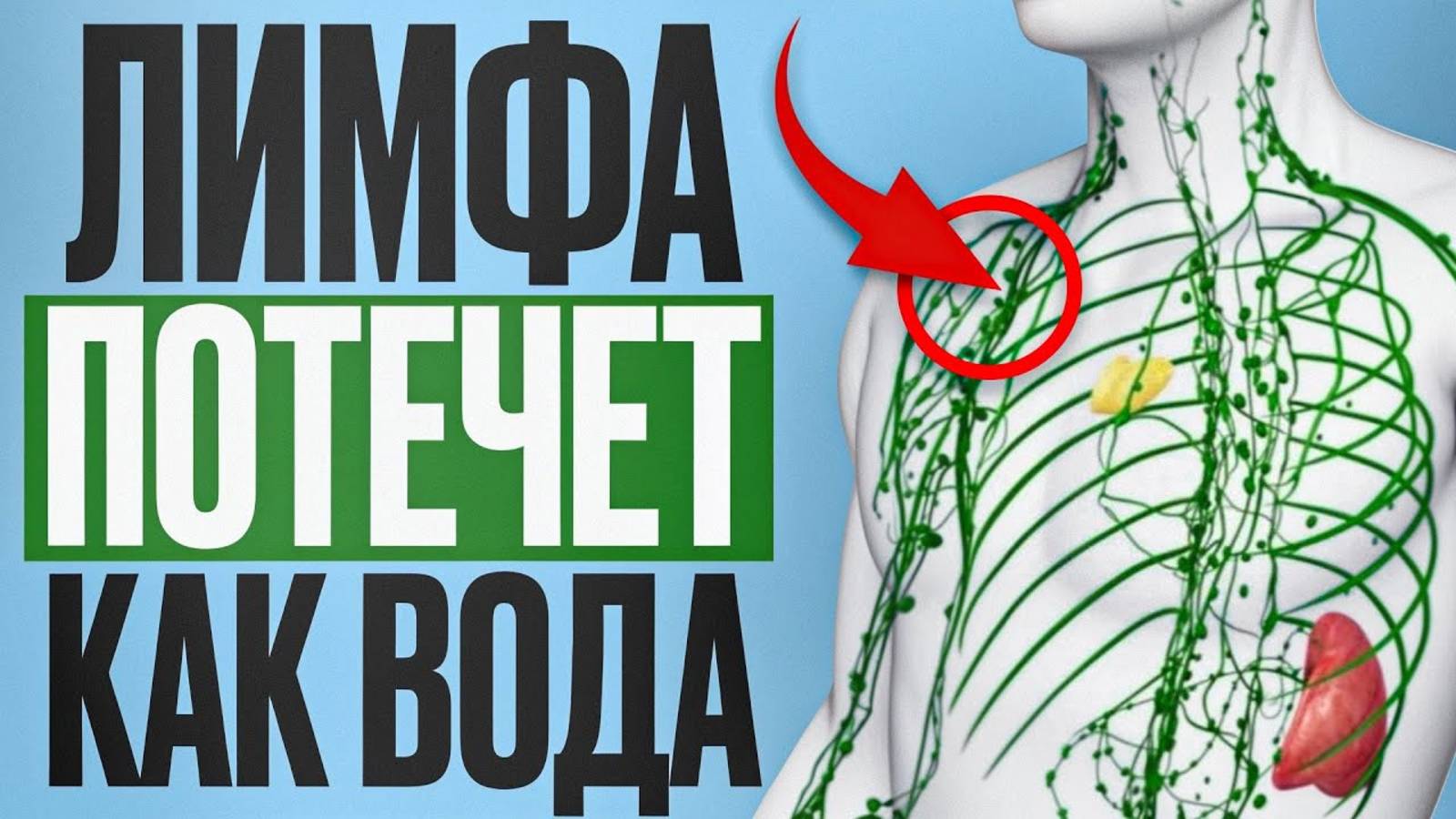 Ты ОТЕКАЕШЬ каждый день из-за ЭТОГО! Как разогнать лимфу и убрать 5 лишних кг