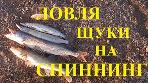 Рыбалка спиннингом на щуку