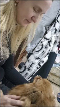 Собака, которая обожает заходить в гости 🙈🫠