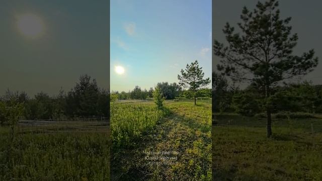 Земельный участок 6 сот. по адресу: Сызранский район, с. Рамено, ул. Каштановая, ЗУ 36