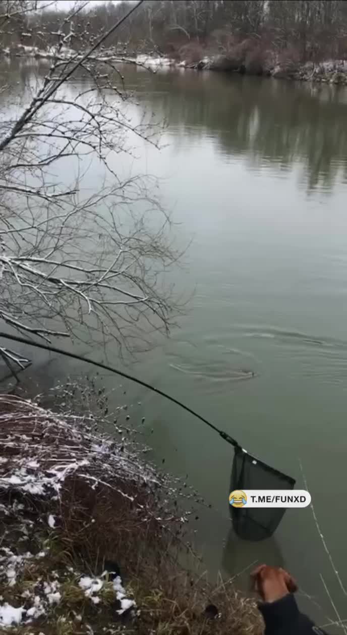 Слишком много экшена😆