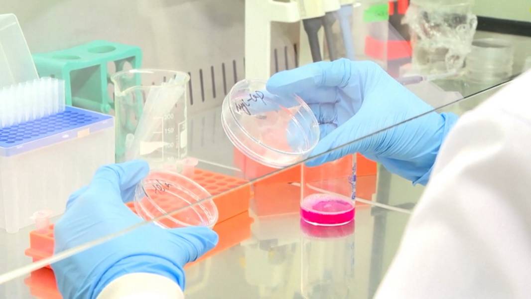 🧠В Астане открыли китайско-казахстанскую лабораторию по изучению заболеваний мозга