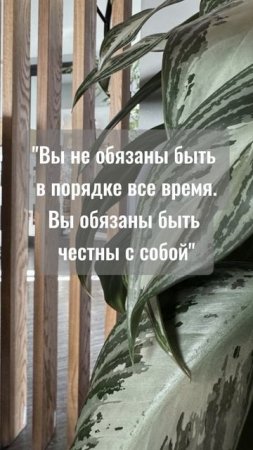 О болях и решениях малого бизнеса, мы создали канал для предпринимателей.