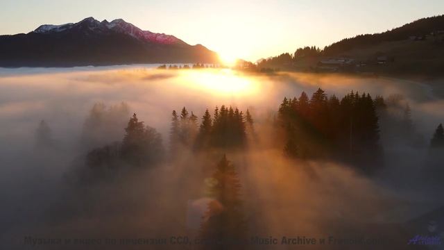 Видео, которое смотрят в параллельных вселенных - присоединяйтесь! - Thoughts Growing Mold -- Holizn
