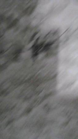YouCut_20250619_164939825.mp4