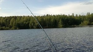 Свободные полянки на водоёме.