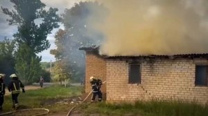 Тополиный пух