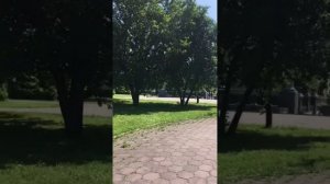 БЛАГОДАРНЫЙ ОТЗЫВ ОТ ЕВГЕНИЯ О КОЛЯСКЕ OTTO BOCK C1000