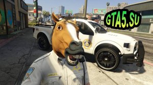 Бизнес под прикрытием в GTA 5 Конь в полицейской форме Обновление GTA Online Money Fronts