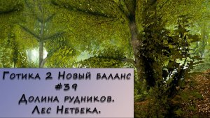 Gothic 2 New Balance. Прохождение. #39 – Долина рудников. Лес Нетбека.