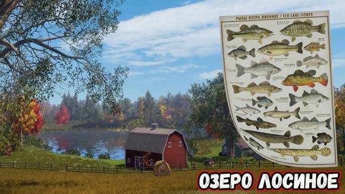 Экстренный обзор озеро Лосиное Русская рыбалка 4
