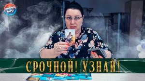 Что вам нужно знать прямо сейчас? | Гадание таро расклад