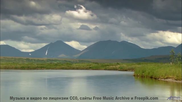 Тишина леса + эта мелодия = мгновенный релакс! - Droolerz -- Kalbells -- Live at WFMU for Sophistica