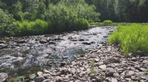 Приток Вишеры Верхняя Золотиха (4К)
