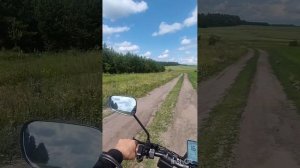 по следам ягод