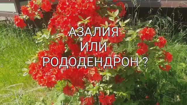 Разница не велика....