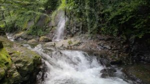 Кое-что о страсти сластолюбия. Часть 1