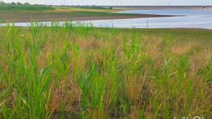 Вечерние покатушки!