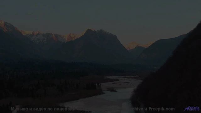 Почему в этом лесу нет птиц - last longer -- Tinmouth -- Surprise time