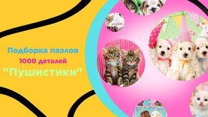 Пазлы 1000 для взрослых и детей с 14 лет. Кошка, собака, головоломка, на подарок, интерьер, релакс